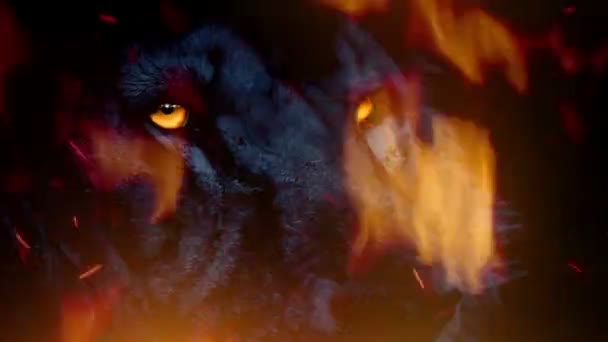 Leeuwengezicht Met Gloeiende Ogen Razend Vuur — Stockvideo