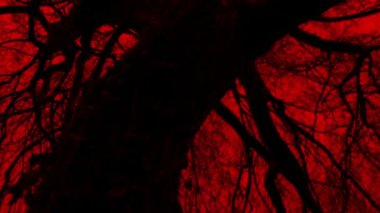 Kızıl Gökyüzü ile Gnarled Yaşlı Ağacın Altında Taşıma