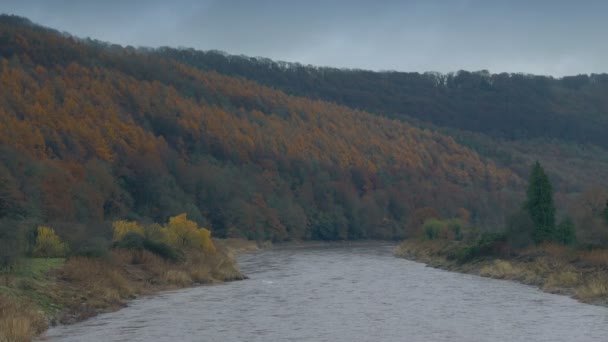 Řeka Přes Údolí Barevné Podzimní Krajiny — Stock video