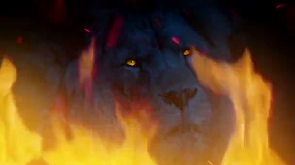 Gros Lion Flammes Avec Des Yeux Brillants — Video