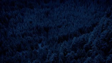 Geceleri Karlı Vadi 'nin üzerinde uçmak