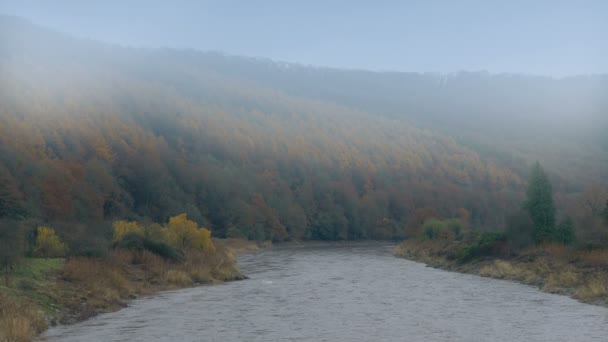 River Wild Misty Valley Fall — Stock video