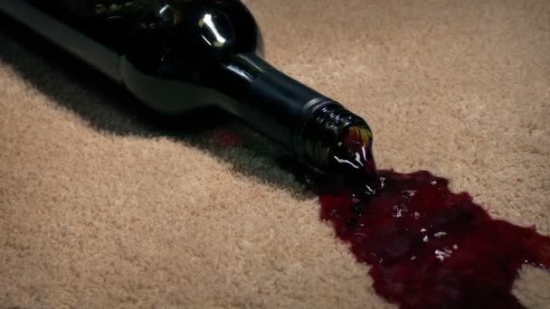 Botella Vino Golpeó Sobre Alfombra Tinción — Vídeos de Stock