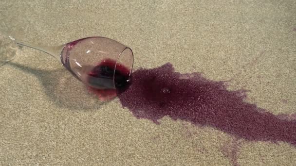 Wine Glass Drops Carpet Big Stain — стоковое видео