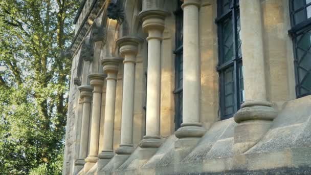 Πυλώνες Για Εξωτερικό Του Παλαιού Κλασικού Κτιρίου — Αρχείο Βίντεο