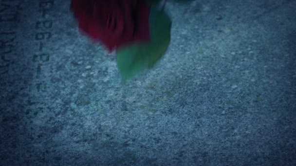 Man Puts Rose Grave Evening — Stock Video