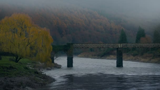 Puente Sobre Río Misty Valley — Vídeo de stock