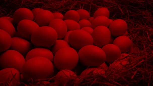 Incuberende Eieren Nest Onder Warmte Lamp — Stockvideo