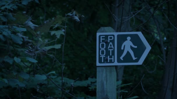 Forest Trail Znak Wieczorem — Wideo stockowe