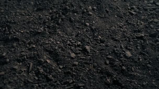 Soil Surface Closeup Moving Shot — Stock Video