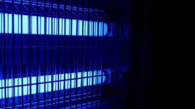 Passing Bug Zapper In The Dark