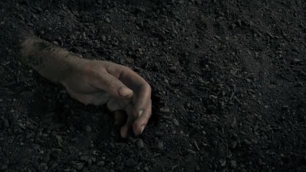 Hand Buried Ground — Stockvideo