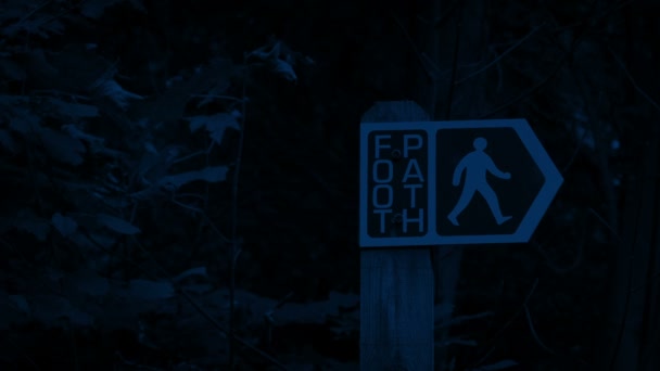 Foot Path Sign Forest Night — 비디오