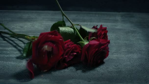 Roses Liet Vallen Vloer Stapte — Stockvideo