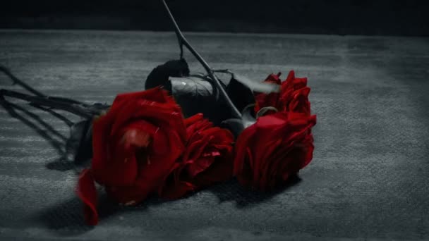 Roses Rouges Tombées Foulées Noir Blanc — Video