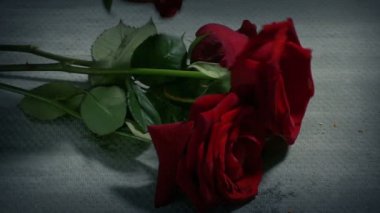 Güller yere düşer ve üzerine basılır.