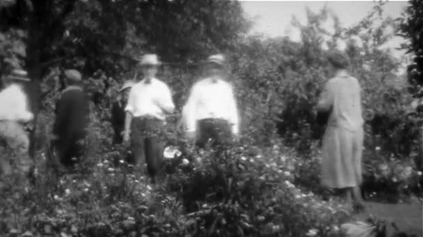 Groep Van Mannen Vrouwen Tuin Vintage 8Mm — Stockvideo