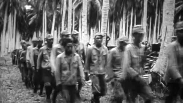 Ww2 Prisioneiros Japoneses Guerra — Vídeo de Stock