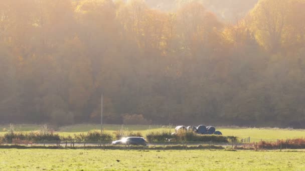 烟雾弥漫的晨乡路上的汽车 — 图库视频影像