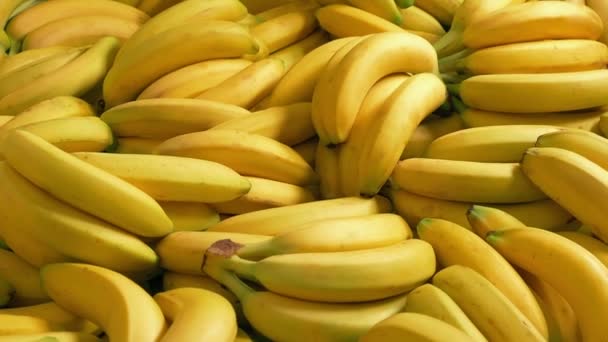 Banana Pile Healthy Eating Global Trade Concept — Stock Video