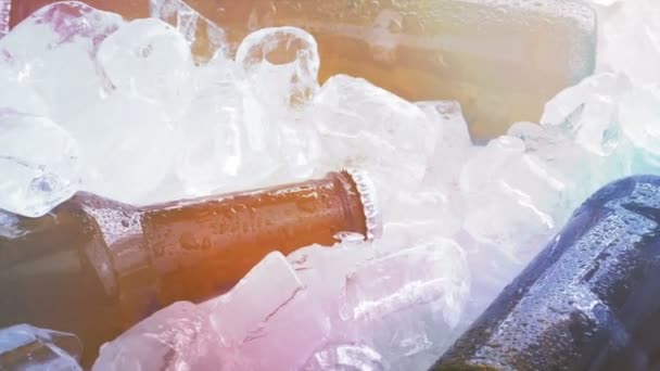 Bières réfrigérées dans beaucoup de glaçons 