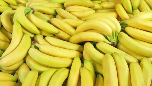 Jede Menge Reife Bananen Angehäuft — Stockvideo