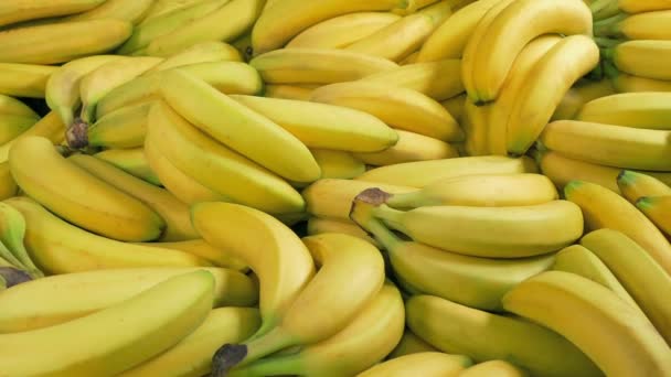 Bananas Supermercado — Vídeo de Stock