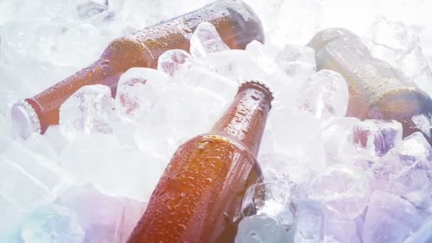 Bières sur glace à la fête événement 