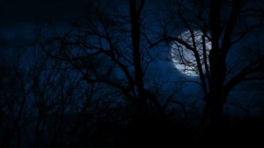 Ağaçların Arkasında Ay 'la Fırtınalı Gece