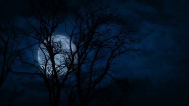 Ürkütücü Ay Ağaçların Arkasında Hızlı Hareket Ediyor