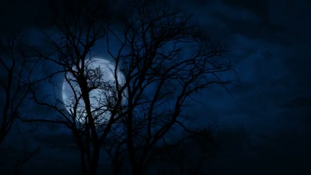 木々の後ろを速く動く不気味な月 — ストック動画