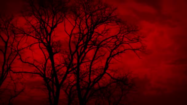 Apocalyptic Red Sky Trees Strong Wind — Stock Video