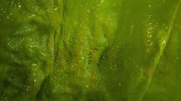 厚重气体旋转的黏糊糊的绿色外墙 — 图库视频影像