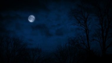 Ormanın üzerinde Ay 'la Ürkütücü Gece Sahnesi