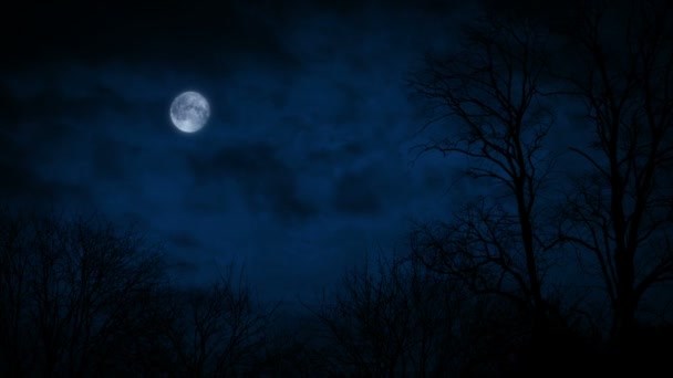 夜ストック動画 ロイヤリティフリー夜動画 Depositphotos 夜ストック動画 ロイヤリティフリー夜動画 Depositphotos