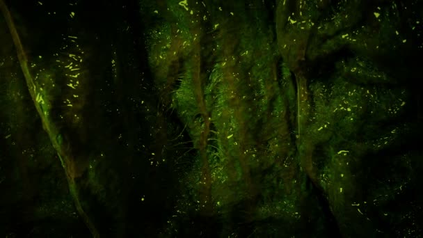 Валовий Slimy Alien Wall Темряві — стокове відео