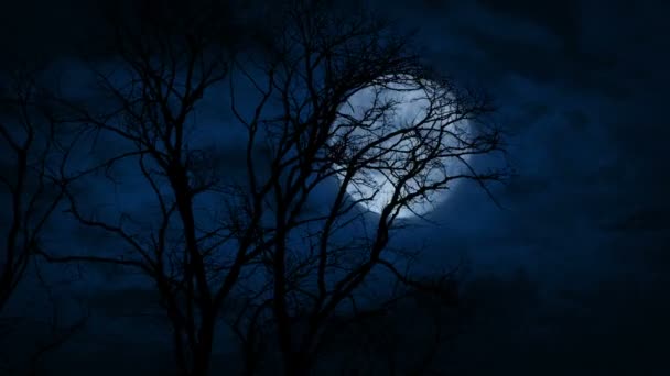 Énorme Pleine Lune Derrière Les Arbres Nus Tard Dans Nuit — Video