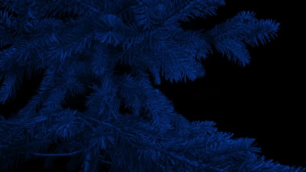 暗闇の中で装飾されていないクリスマスツリーを渡す — ストック動画