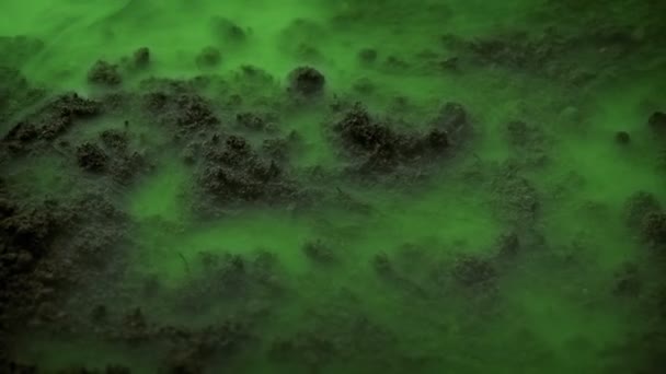 Gruseliger Grüner Rauch Zieht Über Den Boden — Stockvideo