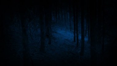 Gece Ormana doğru Yürüyen Korkunç Pep Açılışı