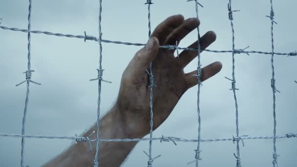 Hand Grasps Barbed Wire Fence Prison Pow Freedom Concept — Stock Video