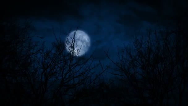 Mond Über Kahlen Waldbäumen Beängstigende Szene — Stockvideo