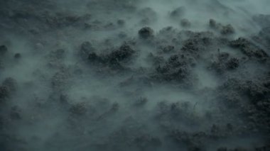 Kalın Duman Yerde Hareket Ediyor