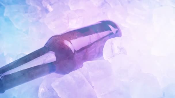 La bouteille est ramassée dans de la vapeur réfrigérée à la fête 