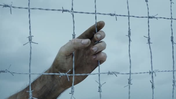 Dirty Man Hand Grabs Barbed Wire Fence — Vídeo de Stock