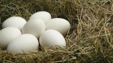 Yuvadaki Beyaz Yumurtalar Veriliyor