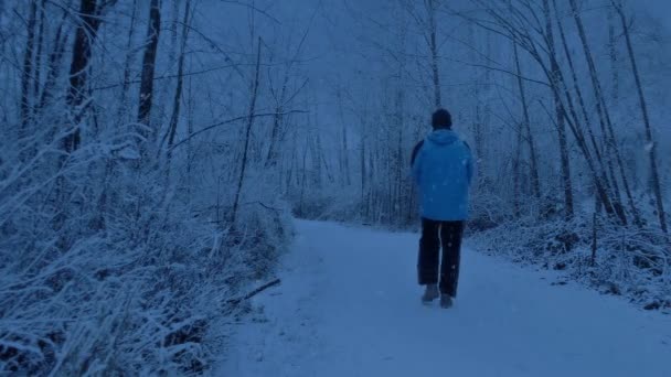 Man Går Förbi Snöig Park Spår Sent Dagen — Stockvideo