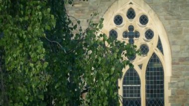 Dışarıda sallanan Ağacın Tarihi Kilise Penceresi