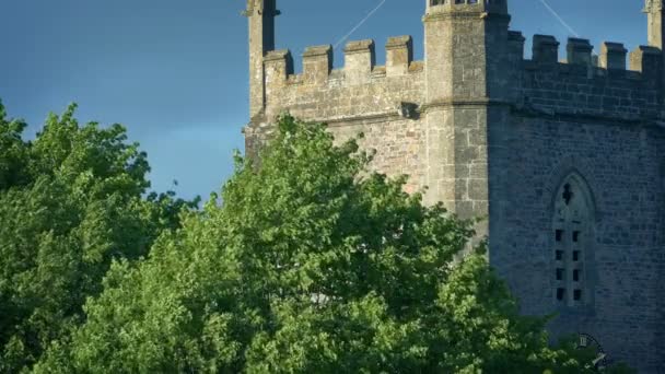 教堂塔与阳光下的树木 — 图库视频影像