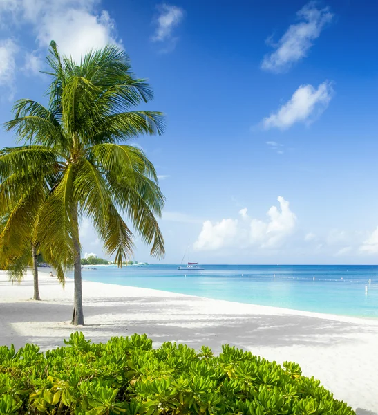 Seven Mile Beach op Grand Cayman eiland, Kaaimaneilanden — Stockfoto